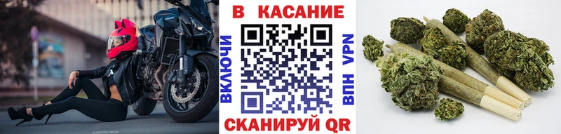 Купить наркотики цена Новая Ляля MEGA ONION  Меф мяу мяу  КЕТАМИН  Марихуана  Кокаин  Альфа ПВП  Амфетамин 