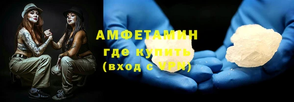 гашик Алексин