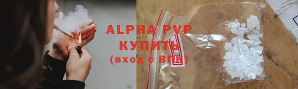 гашик Алексин