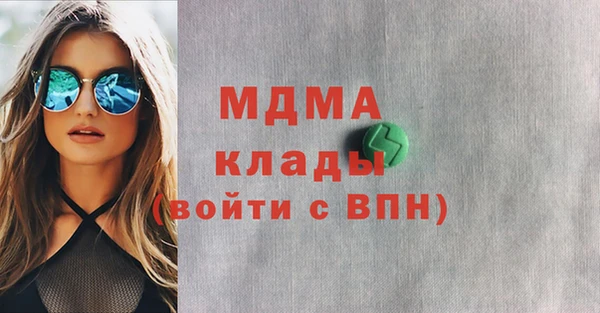 гашик Алексин