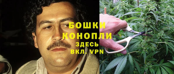 гашик Алексин