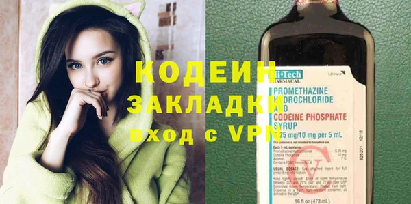 гашик Алексин