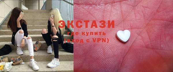 гашик Алексин
